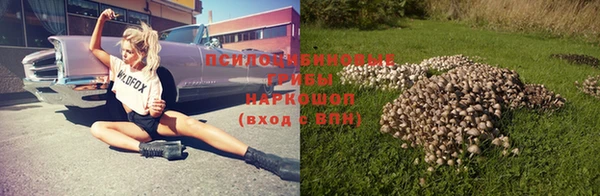 прущий лед Алексеевка