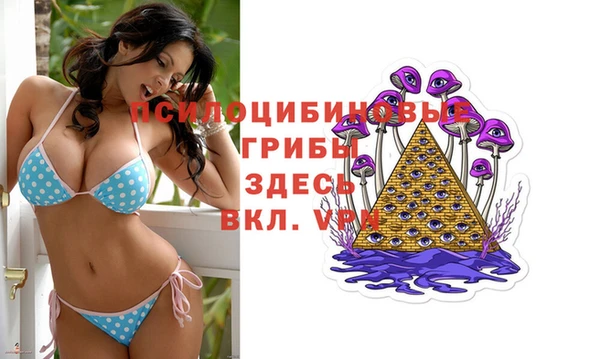 экстази Алексин