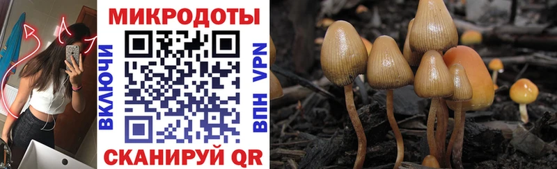Псилоцибиновые грибы мухоморы  Алушта 