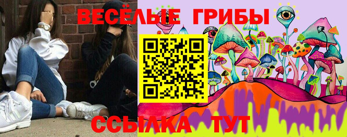 Псилоцибиновые грибы прущие грибы  Вход с VPN  Псилоцибиновые грибы прущие грибы  Алушта 